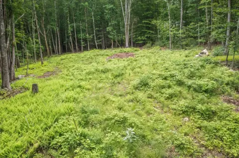 Residential Development Lot with Hilltop Views