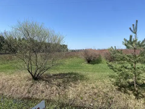 Open Agricultural Land