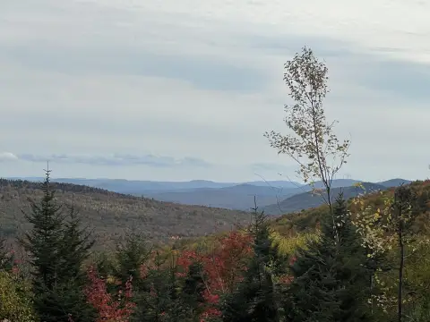 Rural Land Tract with Cleared Site