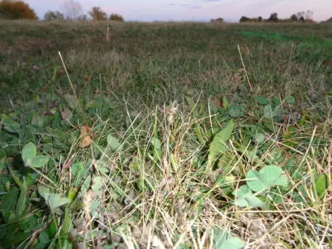 Land in Lockport, Illinois