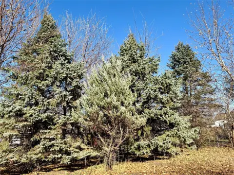 Vacant Lot in Sheldahl, Iowa