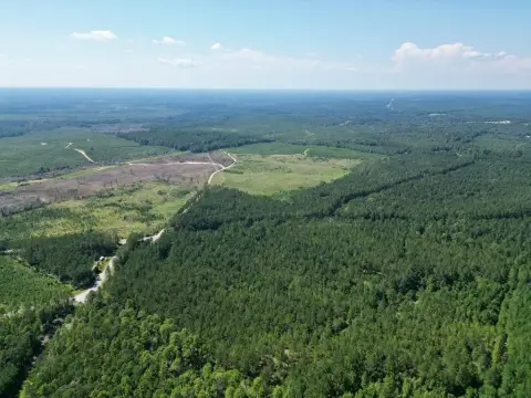 19.98 Acre Wooded Parcel