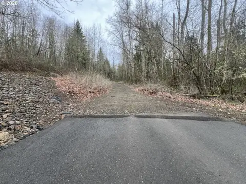 Kalama Land in Dave's View