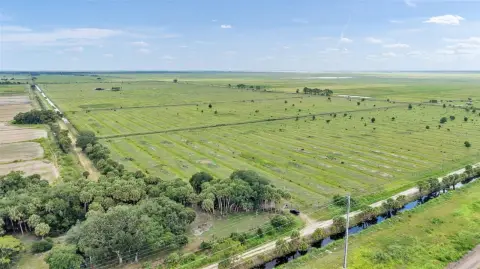 Agricultural Land with Tree-Lined Perimeter
