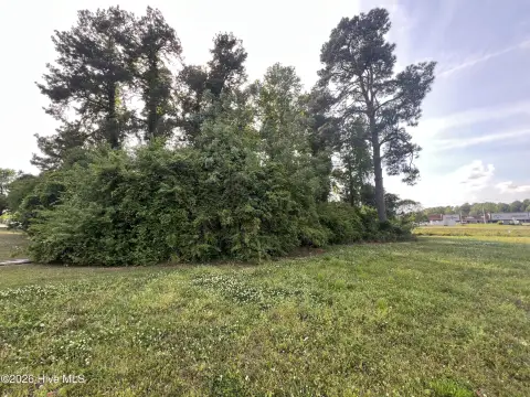 Wooded Commercial Land