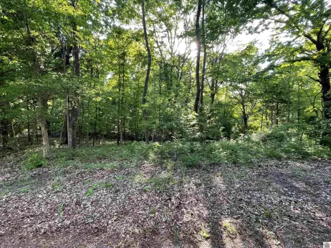 Residential Lots Near Lake Barkley