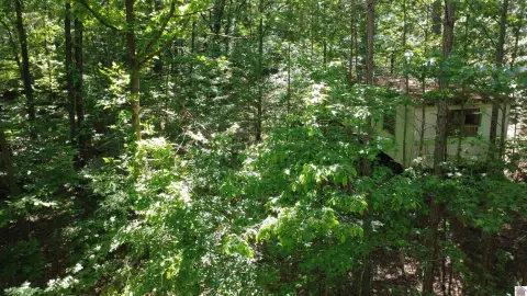 Residential Land with Active Utilities