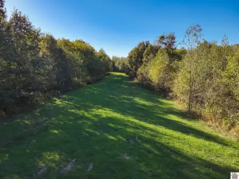 Bardwell, KY Recreational and Hunting Land