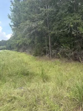 Land With Highway Frontage