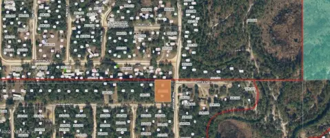 Wooded Vacant Lot for Build