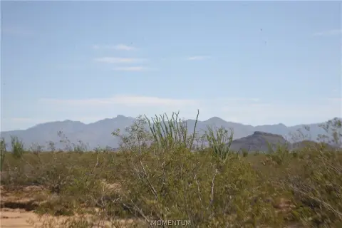 Desert Land with Mountain Views