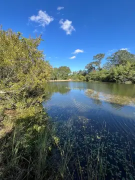 Poplarville Land with Stocked Pond