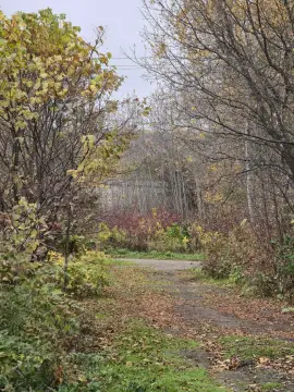 Corner Lot in Established Neighborhood