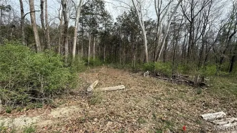 Residential Land in Dittmer, MO