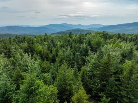 Recreational Mountain Land with Views
