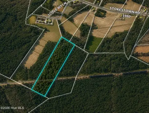 20 Acres Wooded Land, Wallace
