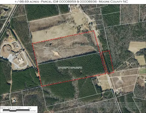 98.69 Acres of Timberland