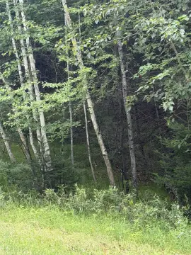 Wooded Recreational Land with Access