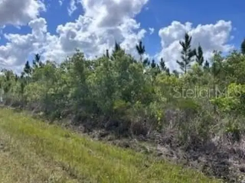 Residential Land in Quiet Locale