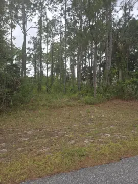 Residential Lot in Palm Bay