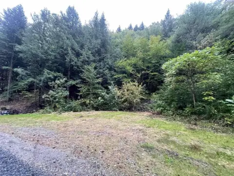 Grafton, VT Land Opportunity