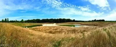 Kingsville Land with Pond Potential