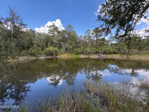 Land Parcel Near Chipley, FL