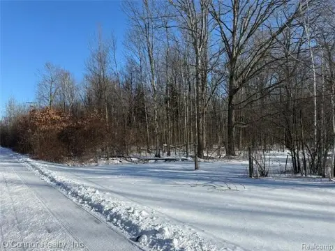 33 Acres of Wooded Land