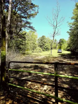 Wooded Recreation Land
