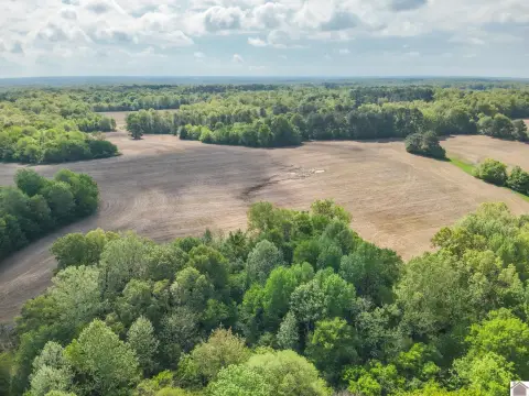 Rolling Farmland and Timber Tract