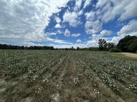 Agricultural Land with Pond