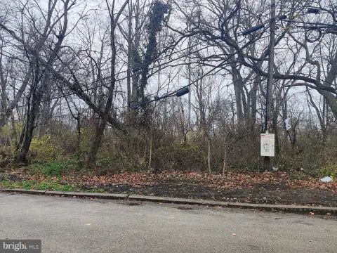 Wooded Commercial Land