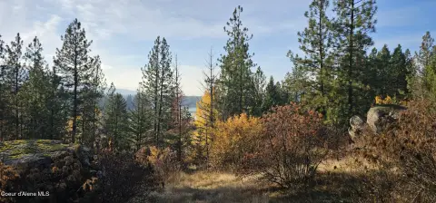 Land with River and Mountain Views
