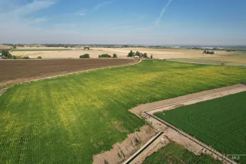Irrigated Agricultural Land