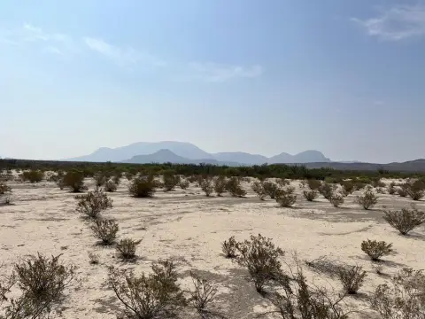 Land in Terlingua, Texas