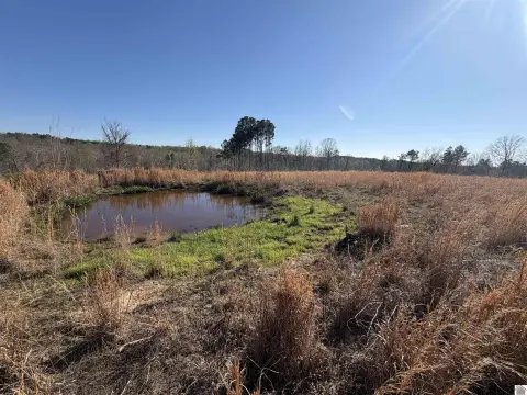 40.5 Acres Hunting/Recreational Land