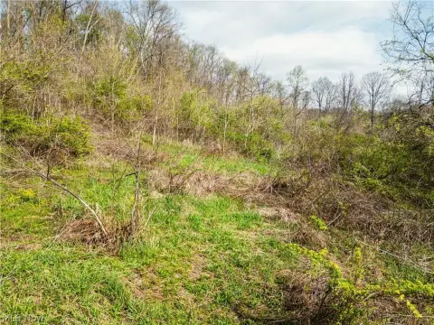 Land in Alledonia, Ohio