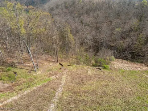 63.7 Acres Wooded Land