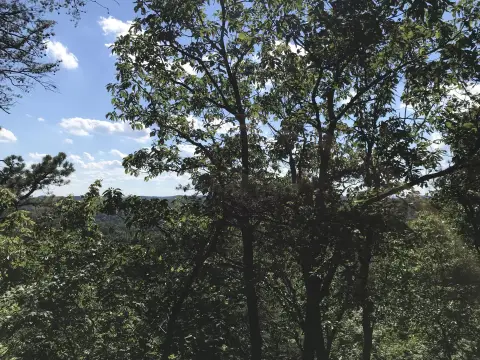 Land with Mountain Views