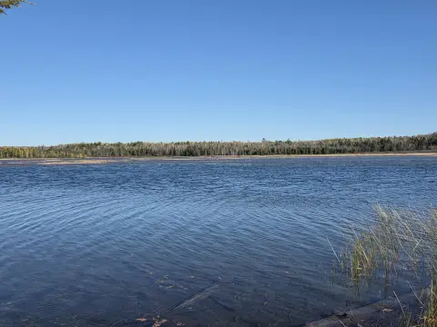 Rush Pond Waterfront Land