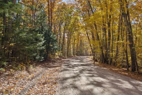 Rural Land with Road Frontage