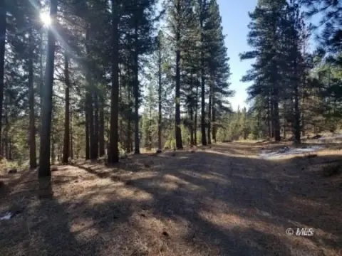 105 Acres with Marketable Timber