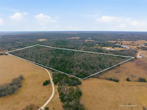 Wooded Hunting Land