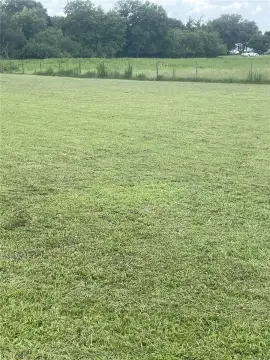 Cleared Lot in Growing Area