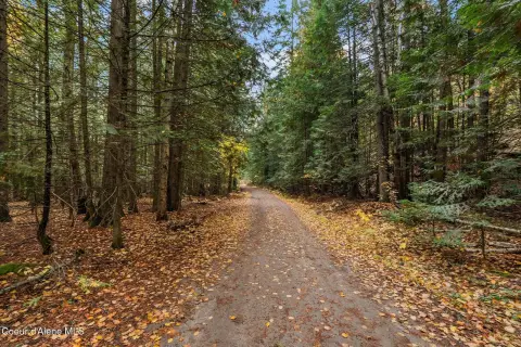 Rural 5 Acreage with Seasonal Stream