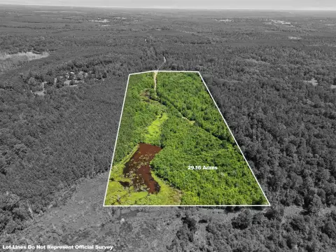 Wooded Recreational Land Tract