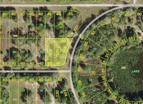 Oversized Lot in Punta Gorda