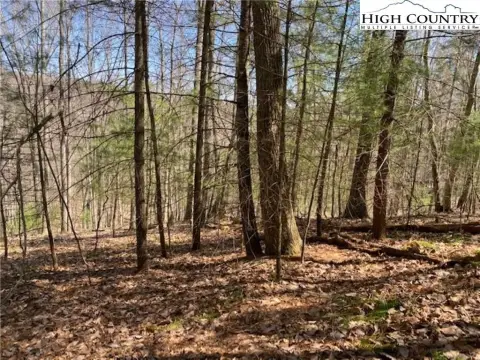 Laurel Mountain Estates Land