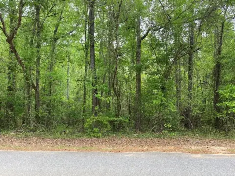 Cusseta, GA Land For Sale