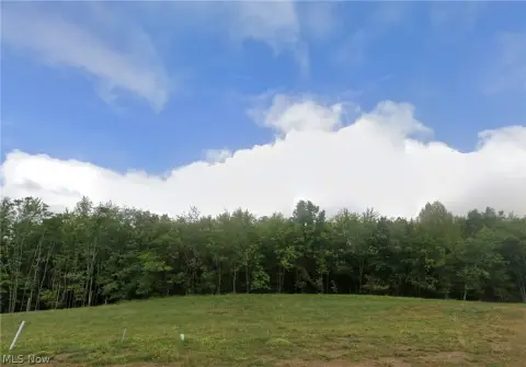 Residential Lot in Canton, OH